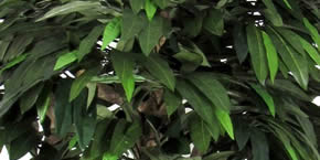 Pic 3